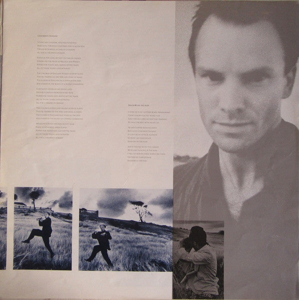 Sting : The Dream Of The Blue Turtles (LP, Album)