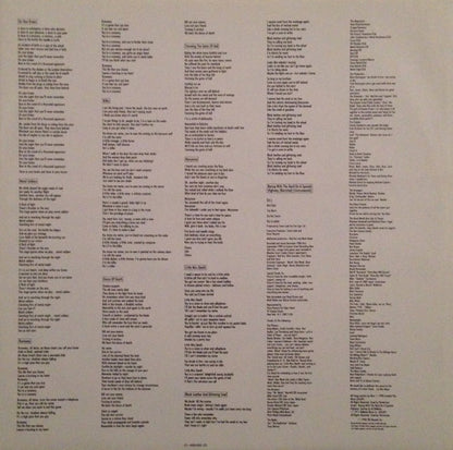 Riot (4) : The Privilege Of Power (LP, Album)
