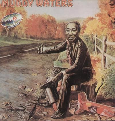 Muddy Waters : Muddy Waters (2xLP, Comp, RE)