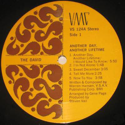 The David : Another Day, Another Lifetime (LP, Album)