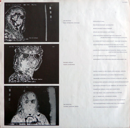Saga (3) : The Beginner's Guide To Throwing Shapes (LP, Album)