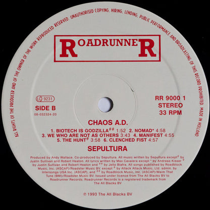 Sepultura : Chaos A.D. (LP, Album)