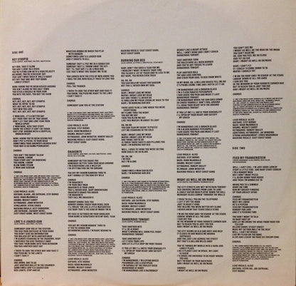 Alice Cooper (2) : Hey Stoopid (LP, Album)
