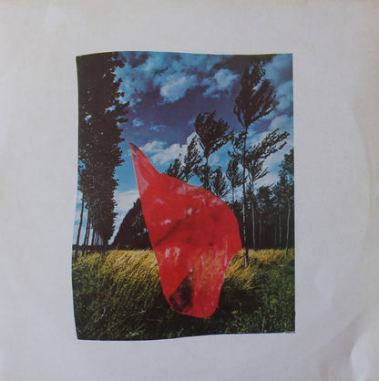 Pink Floyd : Wish You Were Here (LP, Album, RE)