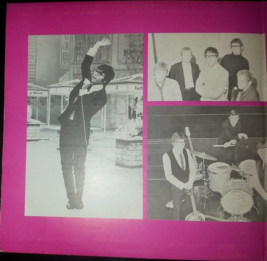 Cliff Richard & The Shadows : Famous Popgroups Of The '60s Vol. 2 (2xLP, Comp, RE, Gat)
