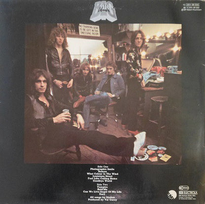 Mr. Big* : Mr. Big (LP, Album)
