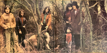 Fairport Convention : Full House (LP, Album, RP, Pin)