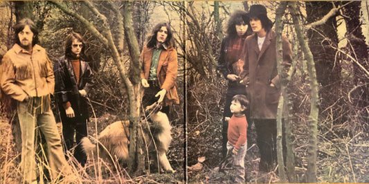 Fairport Convention : Full House (LP, Album, RP, Pin)