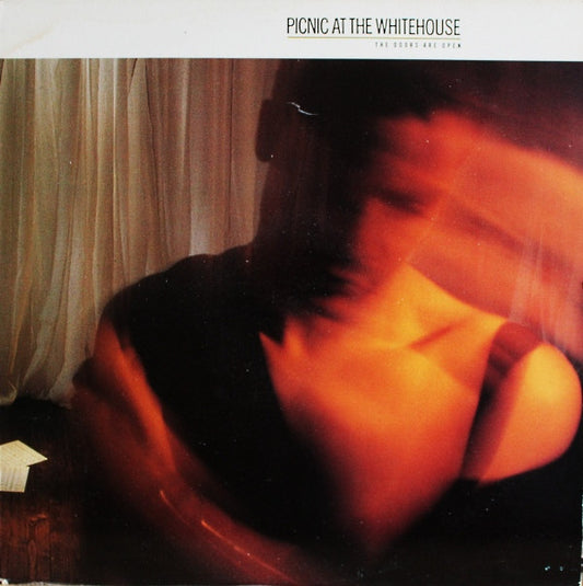 Picnic At The Whitehouse : The Doors Are Open (LP, Album)