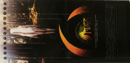 A Perfect Circle : Thirteenth Step (2xLP, Album, RE, 180)