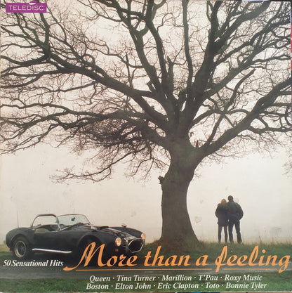 Various : More Than A Feeling (50 Sensational Hits) (3xLP, Comp)