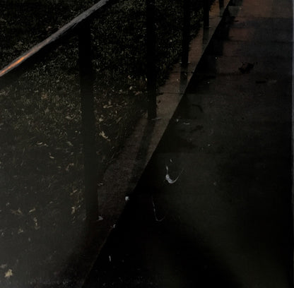 The Tallest Man On Earth : Dark Bird Is Home (LP, Album)