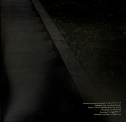 The Tallest Man On Earth : Dark Bird Is Home (LP, Album)