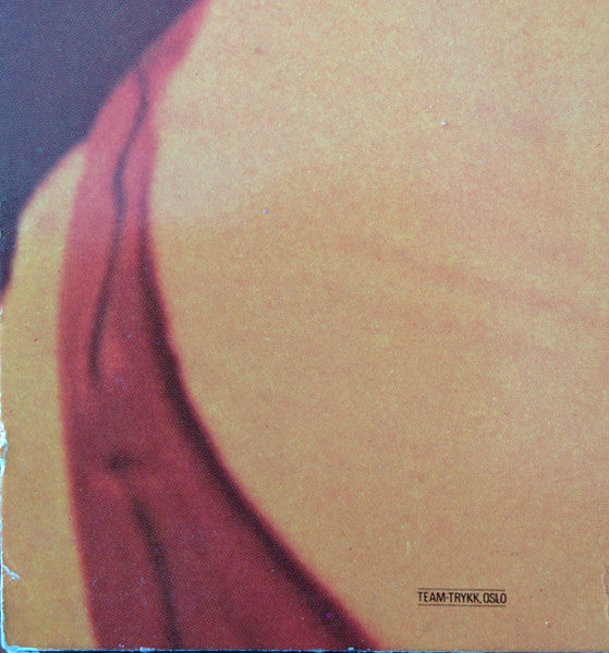 Steve Miller Band : Fly Like An Eagle (LP, Album)