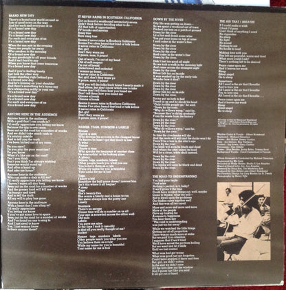 Albert Hammond : It Never Rains In Southern California (LP, Album, Gat)
