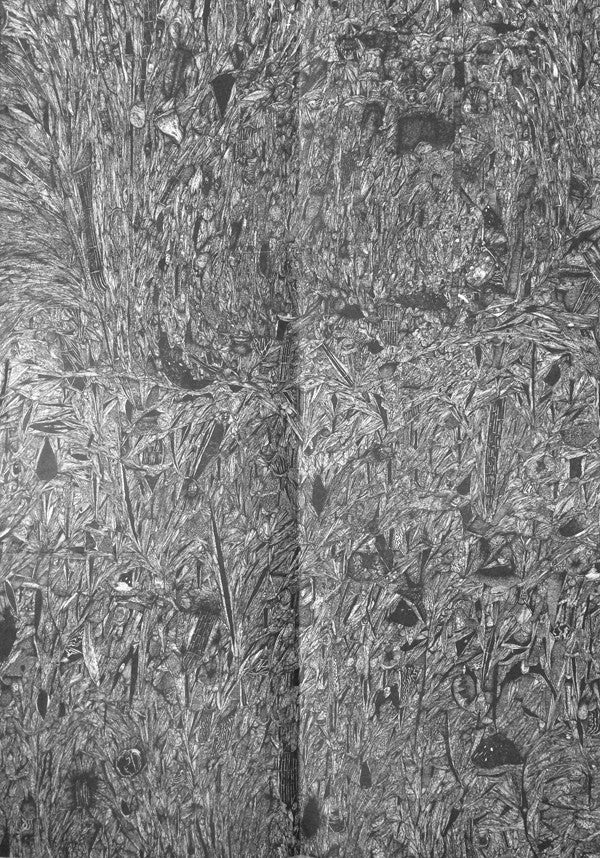 Rudimentary Peni : Death Church (LP, Album)