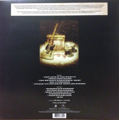 Billy Gibbons and The BFG's : Perfectamundo (LP, Album)