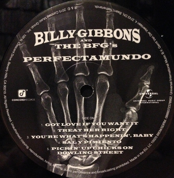 Billy Gibbons and The BFG's : Perfectamundo (LP, Album)