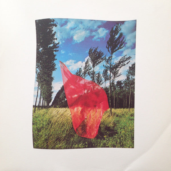 Pink Floyd : Wish You Were Here (LP, Album, RE)