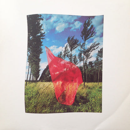 Pink Floyd : Wish You Were Here (LP, Album, RE)