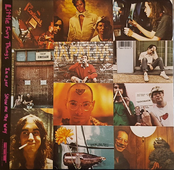 Dinosaur Jr. : Little Fury Things (12", Pin)