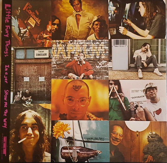 Dinosaur Jr. : Little Fury Things (12", Pin)