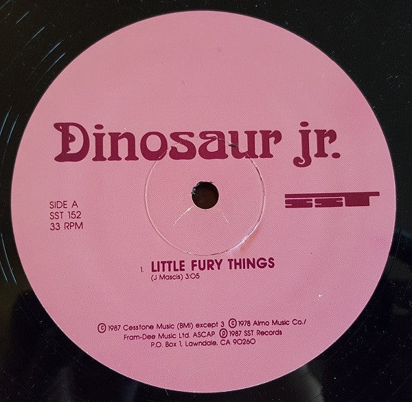 Dinosaur Jr. : Little Fury Things (12", Pin)