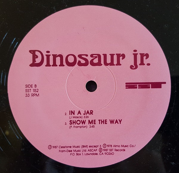 Dinosaur Jr. : Little Fury Things (12", Pin)