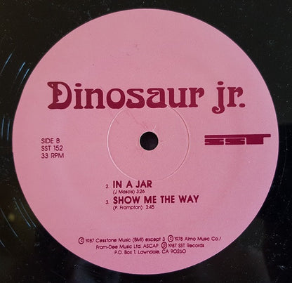 Dinosaur Jr. : Little Fury Things (12", Pin)