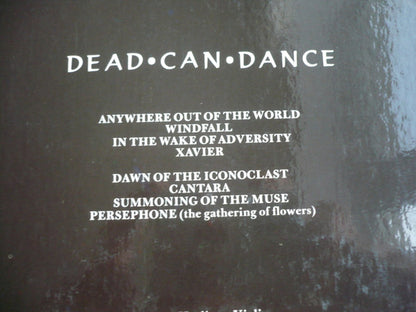 Dead Can Dance : Within The Realm Of A Dying Sun (LP, Album)