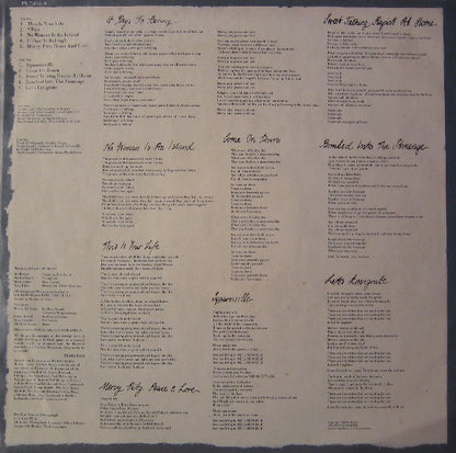 The Blow Monkeys : Whoops! There Goes The Neighbourhood (LP, Album)