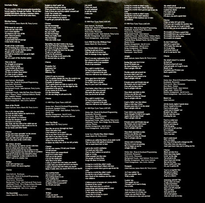 Janet Jackson : Rhythm Nation 1814 (LP, Album, PDO)