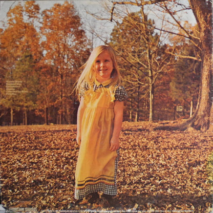 The Allman Brothers Band : Brothers And Sisters (LP, Album, RE, Gat)